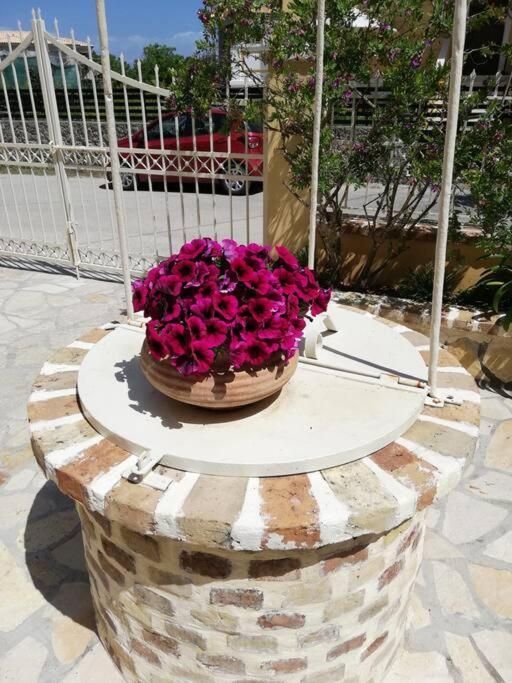 Sunny Stay Furnished Apartment In Kanoni ภายนอก รูปภาพ
