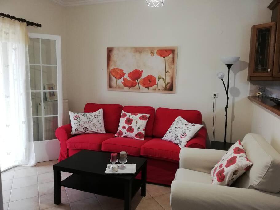 Sunny Stay Furnished Apartment In Kanoni ภายนอก รูปภาพ